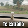 Te extraño