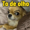 To de olho