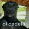 oi cadela