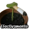 Efectivamente