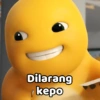 Dilarang kepo