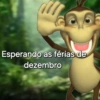 Esperando as férias de dezembro