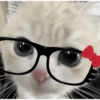 Kucing anomali 19