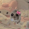 Cricetino Sad Hamster 11