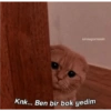 ✨ Türkçe komik ✨ 17