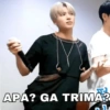 Meme kpop 12