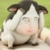 Sion cow filter meme 8