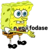n voi fodase