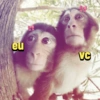 eu VC