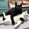 eu VC