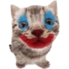 Gatos coringa 21