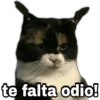 te falta odio!
