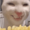 Memes cute 2😎 5
