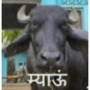 Hindi Funny Memes 29