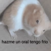 Memes 3.0🫆🧿 29