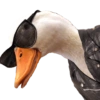 Animals 14