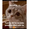 HELISTAR.COM AVIATOR AME ONLINE Are tum Ha tum hi. << Tum to vhi ho na jiske pompom bhot cute ha <