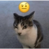 |