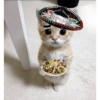 Mes patrio 🇲🇽 septiembre 🌮🇲🇽 12
