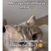 Message nahi bheje ja rhe to << Pompom ki photo hi bhej do cutie <<3