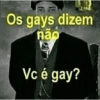 Copia EGY Os gays dizem não Vc é gay?