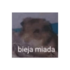 Ola pobres  6