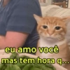 eu amo você mas tem hora q...