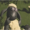 Memes cute 2😎 21