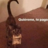 Quiéreme, te pago