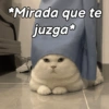 Gatitos Memes😺✨💕9 18