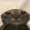 Shitpost 7