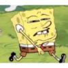 No c 23