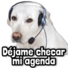 alamy Déjame checar mi agenda