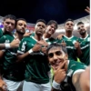 Palmeiras  8