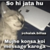 Cat love 10