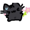 Cat 8