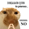 Michis caóticos ⚡😼⚡ 10