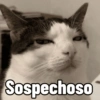Sospechoso