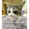 Cat love 9