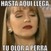 HASTA AQUI LLEGA TU OLOR A PERRA