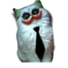 ☆funny pets 11