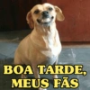 BOM DIA/BOA TARDE/BOA NOITE 😘 2