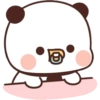 Panda lucu  11