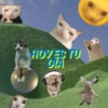 HOVES TU