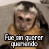 Changuitos Reacciones! 🐵🐒 11