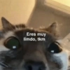 Animalitos con frases 1 ❤️😎 7