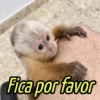 TUDO O QUE VC PRECISA👇 10