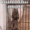 AAAAAAAAAAAAAA AAAAAAAA