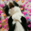 💞💖 AMOR 6 💖💞 19
