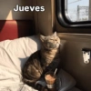 Rreacciones para JUEVES 4 5